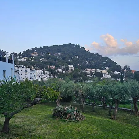 Σπίτι διακοπών Casa Due Golfi Κάπρι